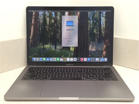 MacBook Pro 2018 - Intel Core I7-8559U, 16GB RAM, 2 TB NVME SSD, macOS Sequoia