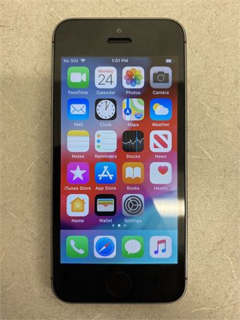 Apple iPhone 5S 16GB Space Grey - AT&T